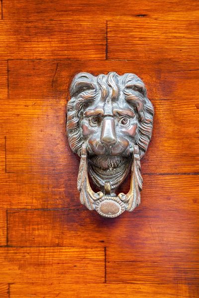 Eggers, Julie 아티스트의 Italy-Venice-Burano Island Closeup of a lion head door knocker on a wooden door작품입니다.